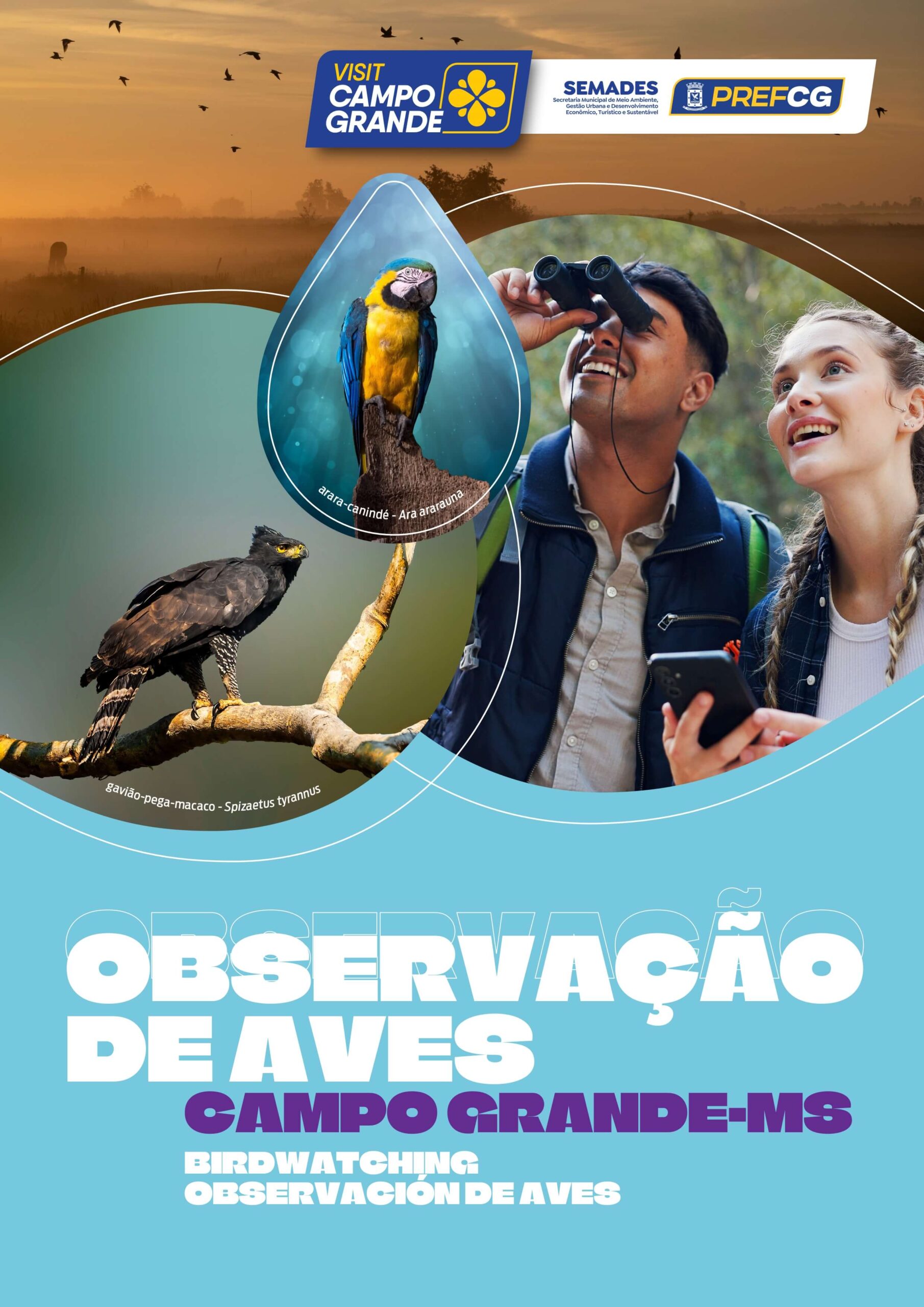 Roteiro Birdwatching