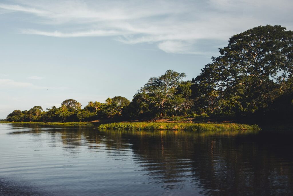 Rio no Pantanal
